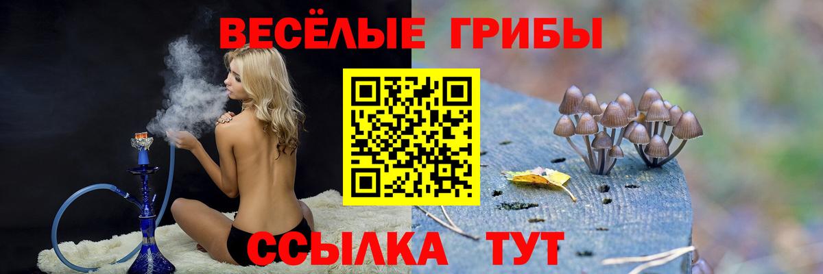 Псилоцибиновые грибы Cubensis  Вход с VPN  Семилуки 